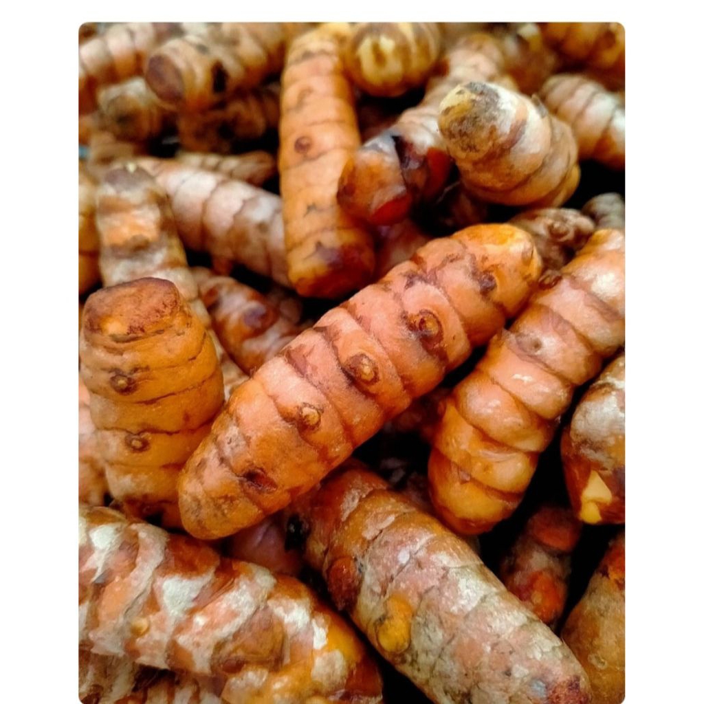 

Kunyit 250 gram