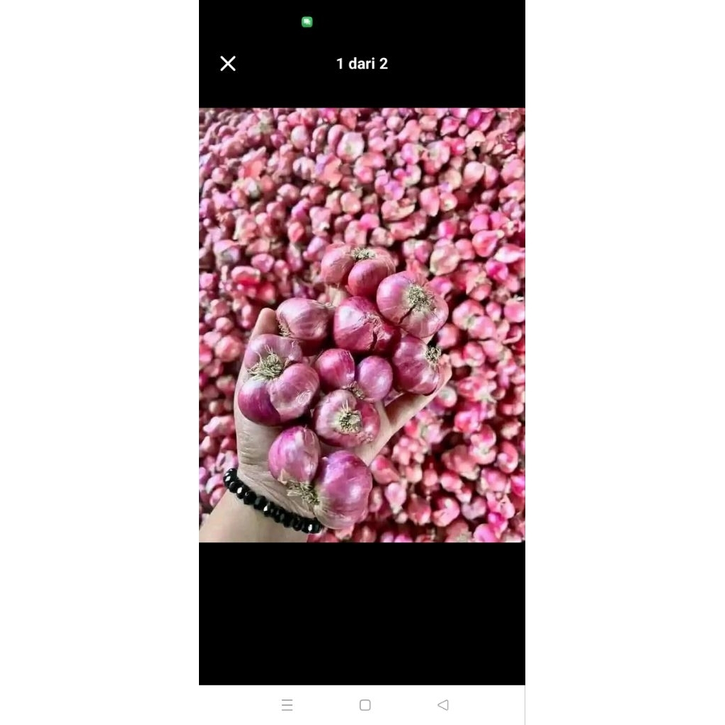 

1kg BAWANG MERAH BAWANG PUTIH