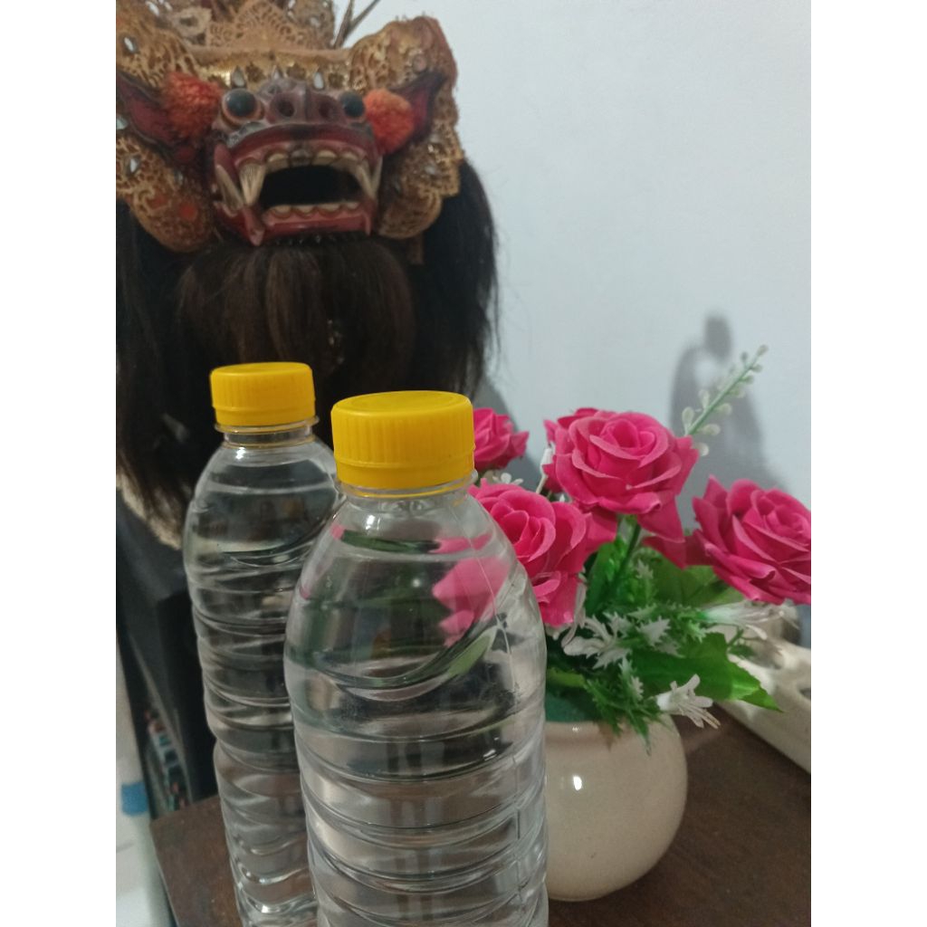 

Air Kelapa Sesajen Dua Botol