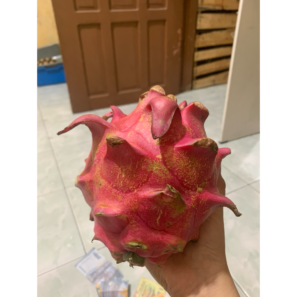 

buah naga 1kg