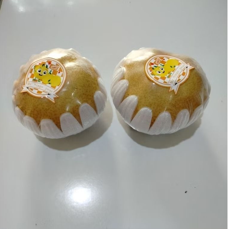 

buah pir singo coklat /2 buah