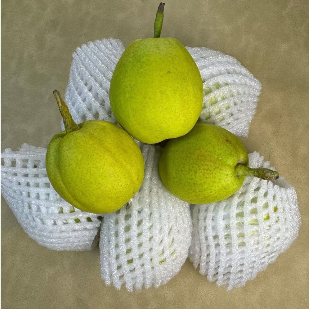 

pear xianglie manis garing 1kg