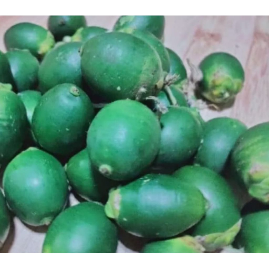

Pinang muda fresh 5biji Rp5000