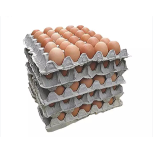 

Telur Ayam Negeri Super Grade A - 1 Pack Berat 5 KG