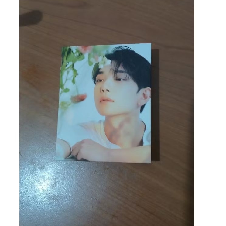 Seventeen is Right Here Dear Ver. Joshua Binder Booklet