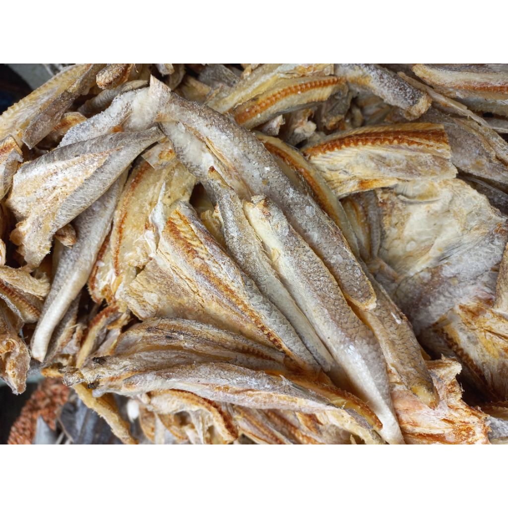 

Ikan Jemur PALU ASIN Sibolga