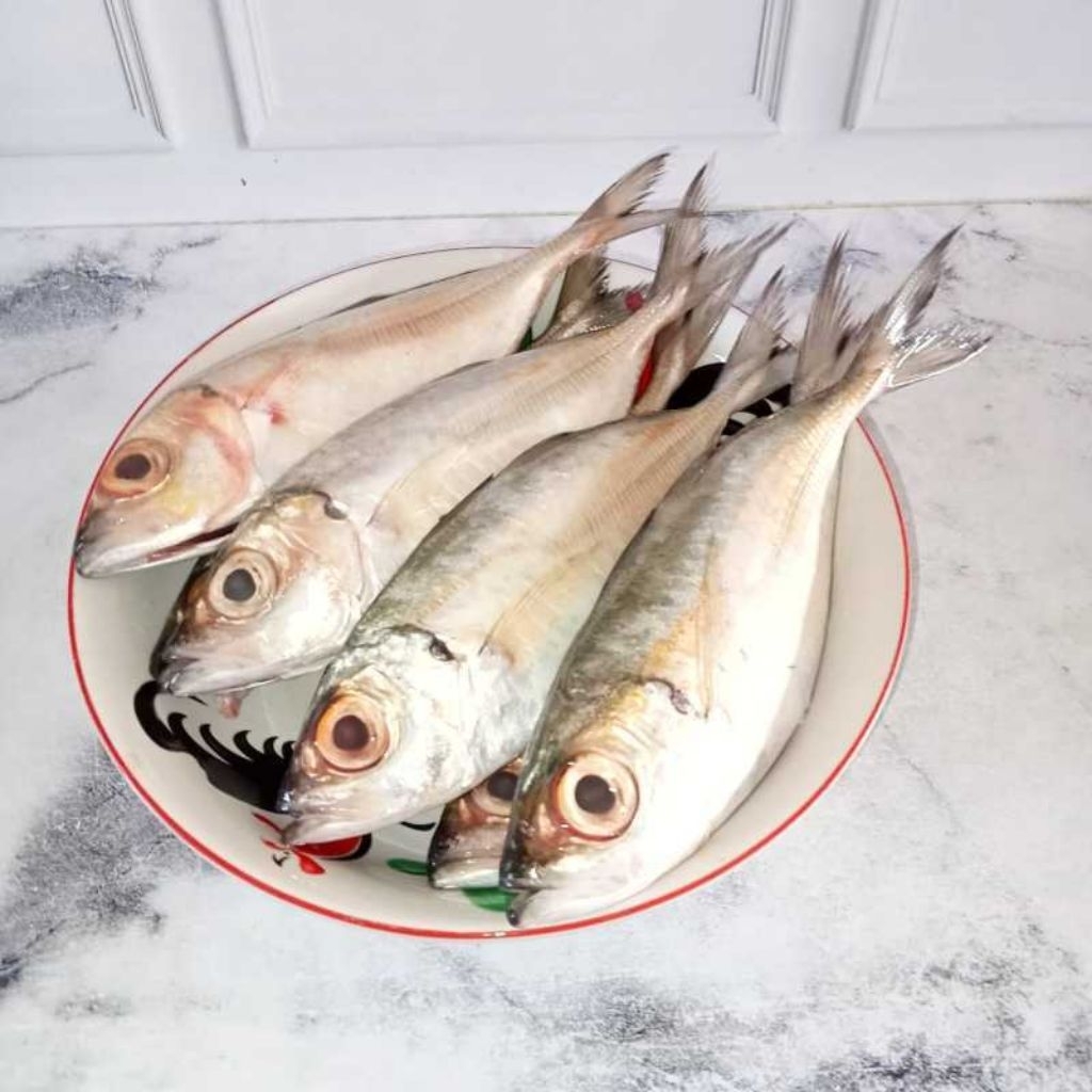 

Ikan Kembung Bentrong Mata Belo Super (isi 6-12) Fresh