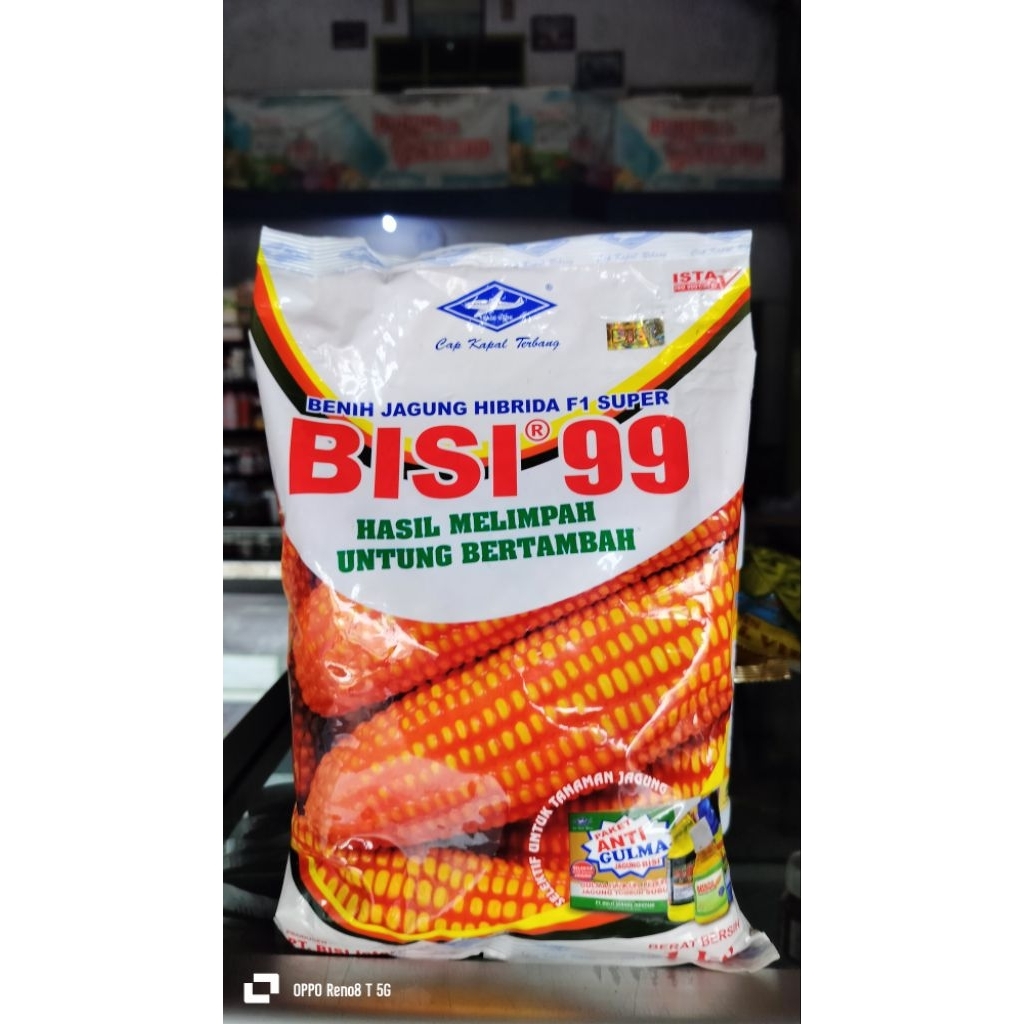 BENIH JAGUNG HIBRIDA F1 KAPAL TERBANG BISI99 TONGKOL BESAR