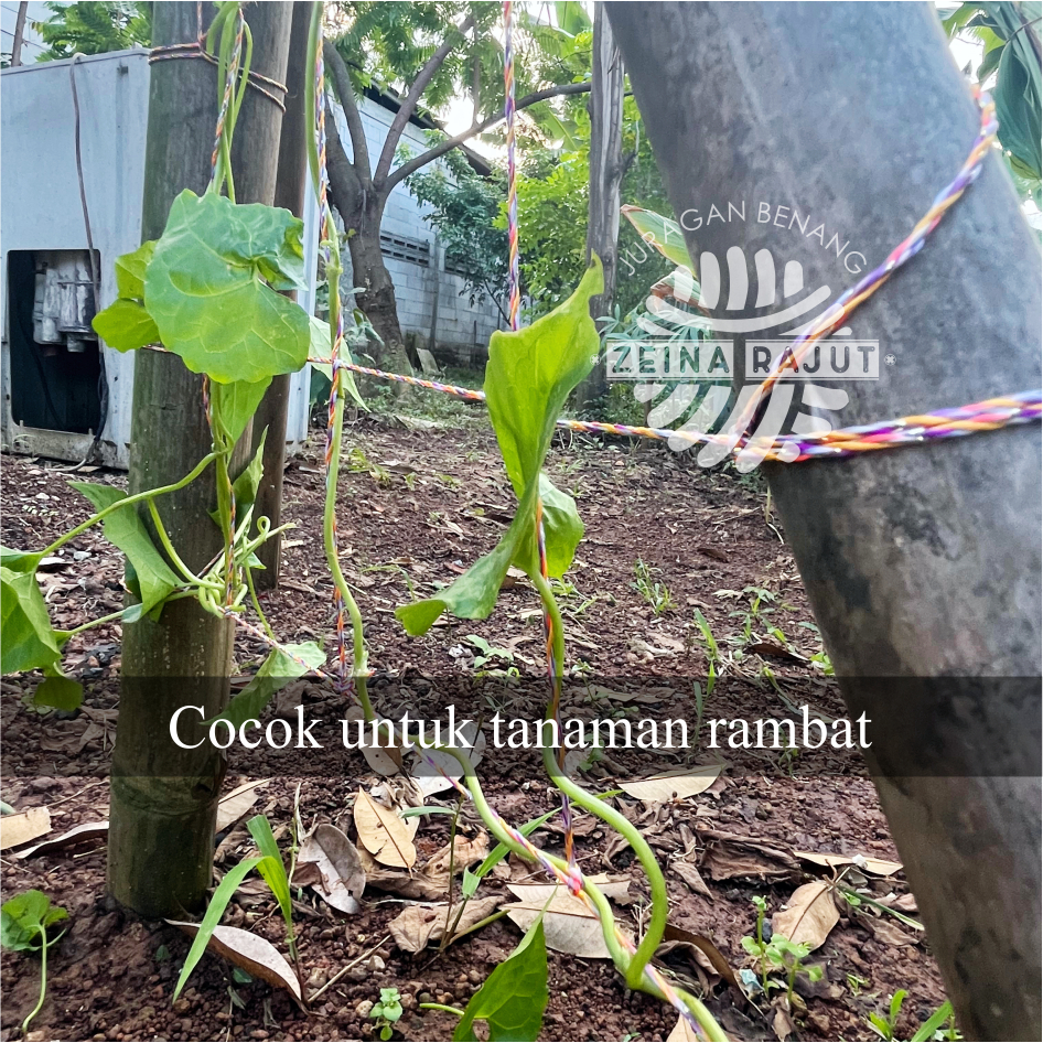 Adelonz Benang Ajir Tanaman Rambat