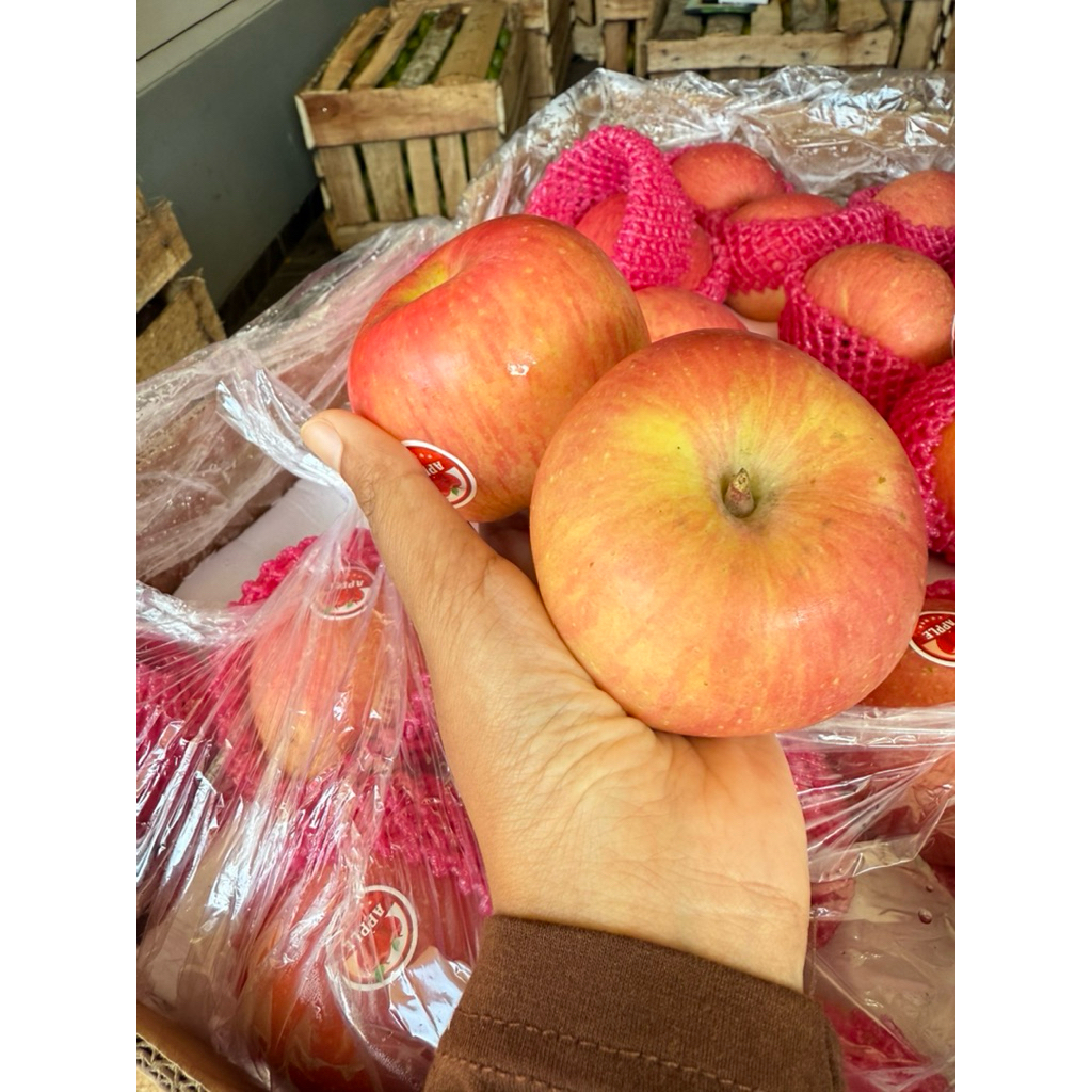 

Apel fuji import 1kg isi 7-9 bijian