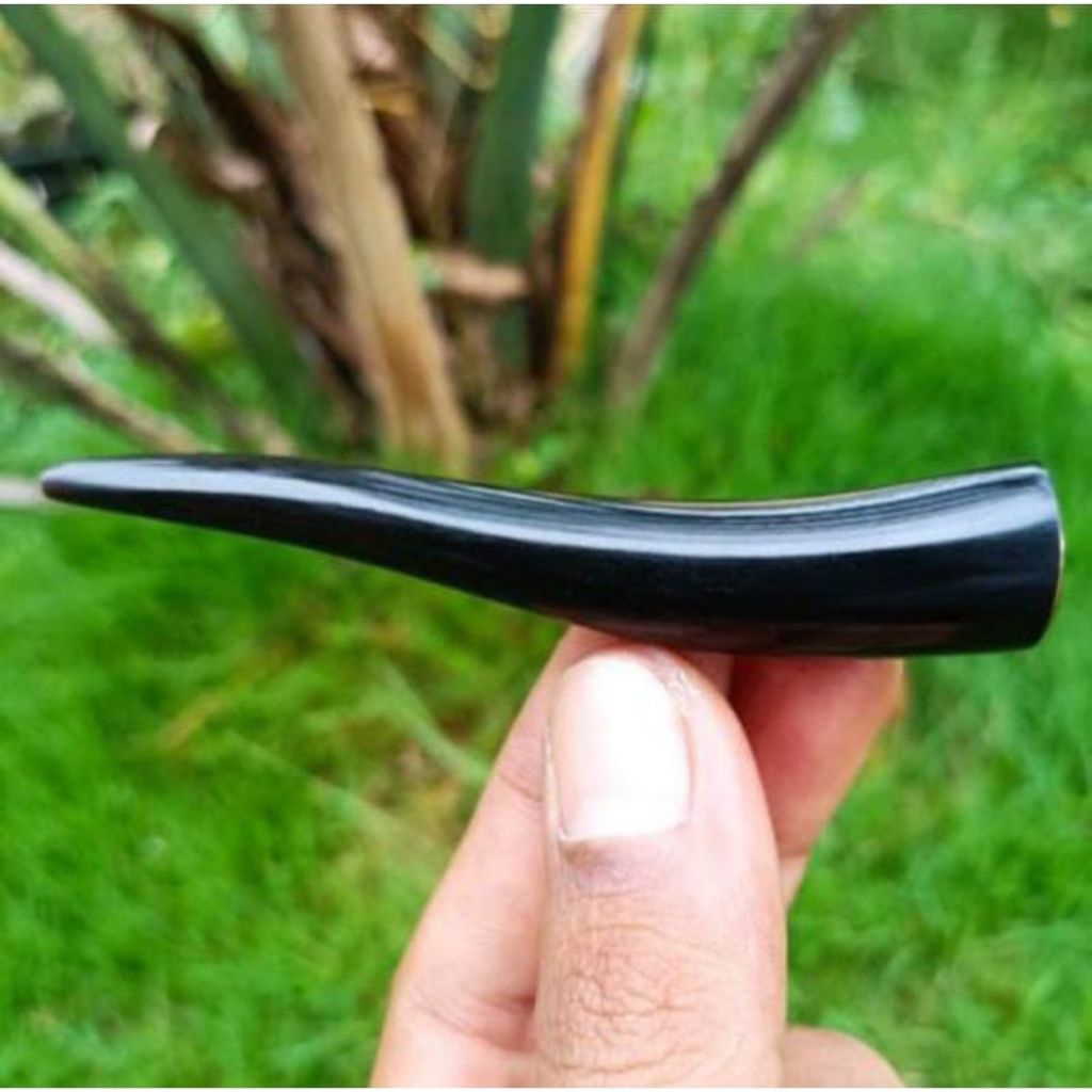 pipa once kayu kelor hitam