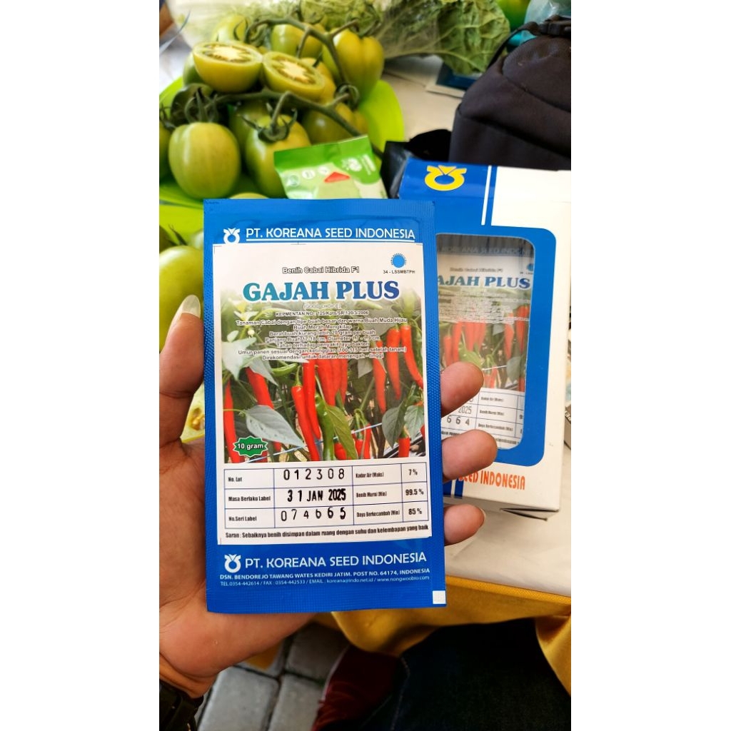 Benih Cabe GAJAH PLUS tipe P-SADA 700 F1 Buah besar dan padat sehingga tahan virus