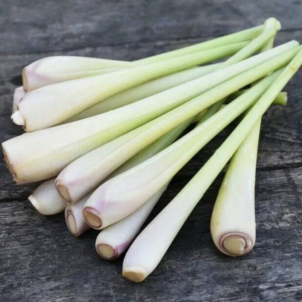 

Serai| Sereh |Lemon Grass Segar Fresh 500gr 1Kg langsung dari petani