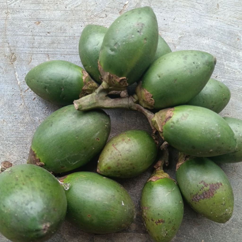 

buah pinang / buah jame . pinang mudq