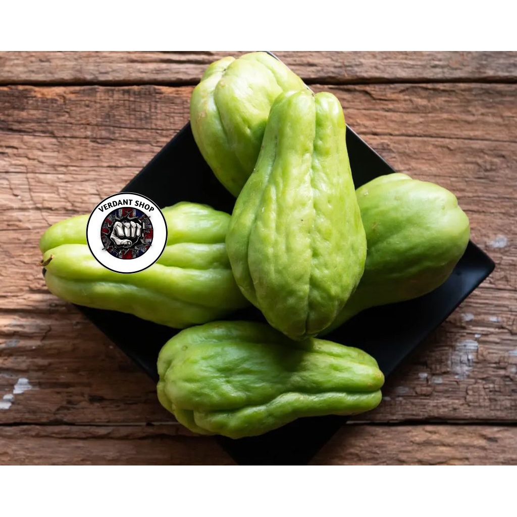 

labu Siam acar 1kg segar setiap hari