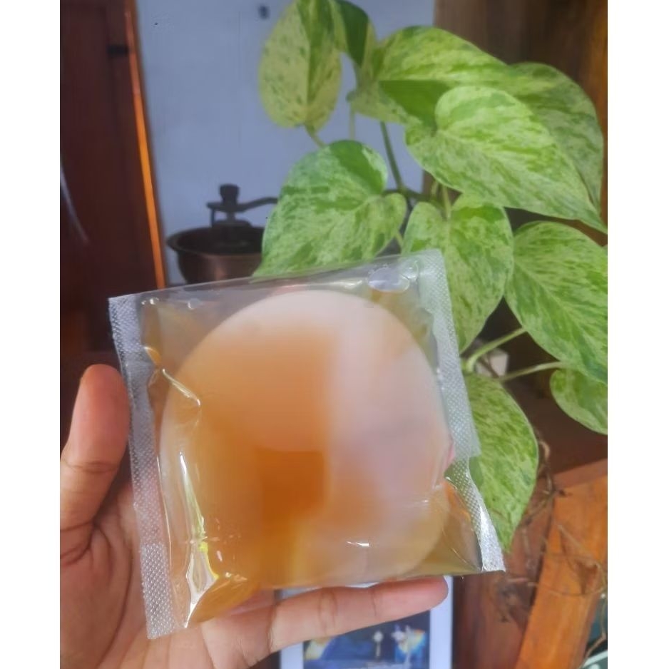 

Kombucha Started+Scoby