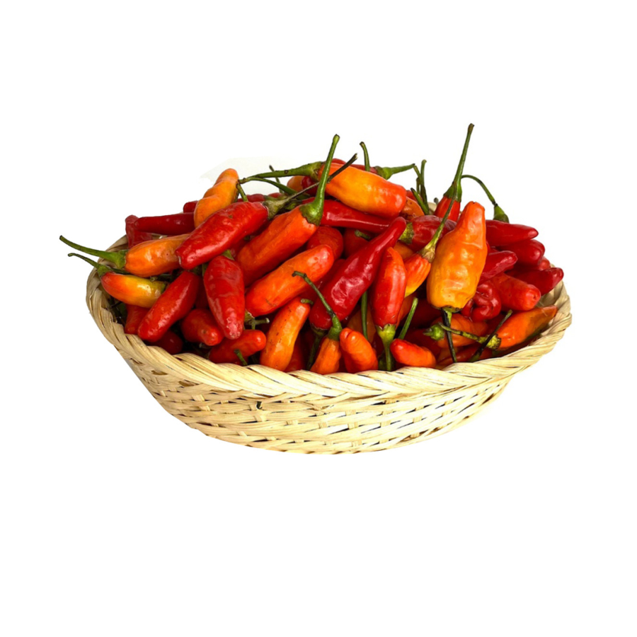 

Cabe rawit merah / cabai kecil