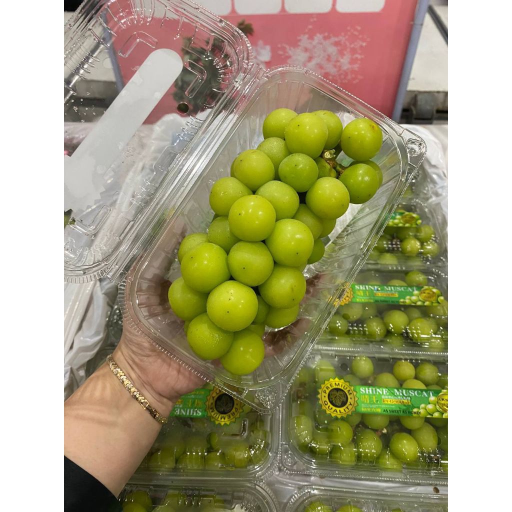 

Anggur Ijo Muscat Pack