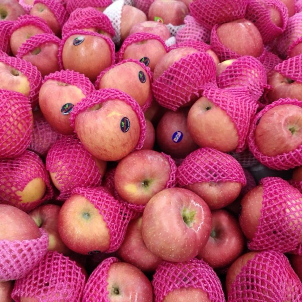 

apel fuji medium impor 1kg-buah segar berkualitas