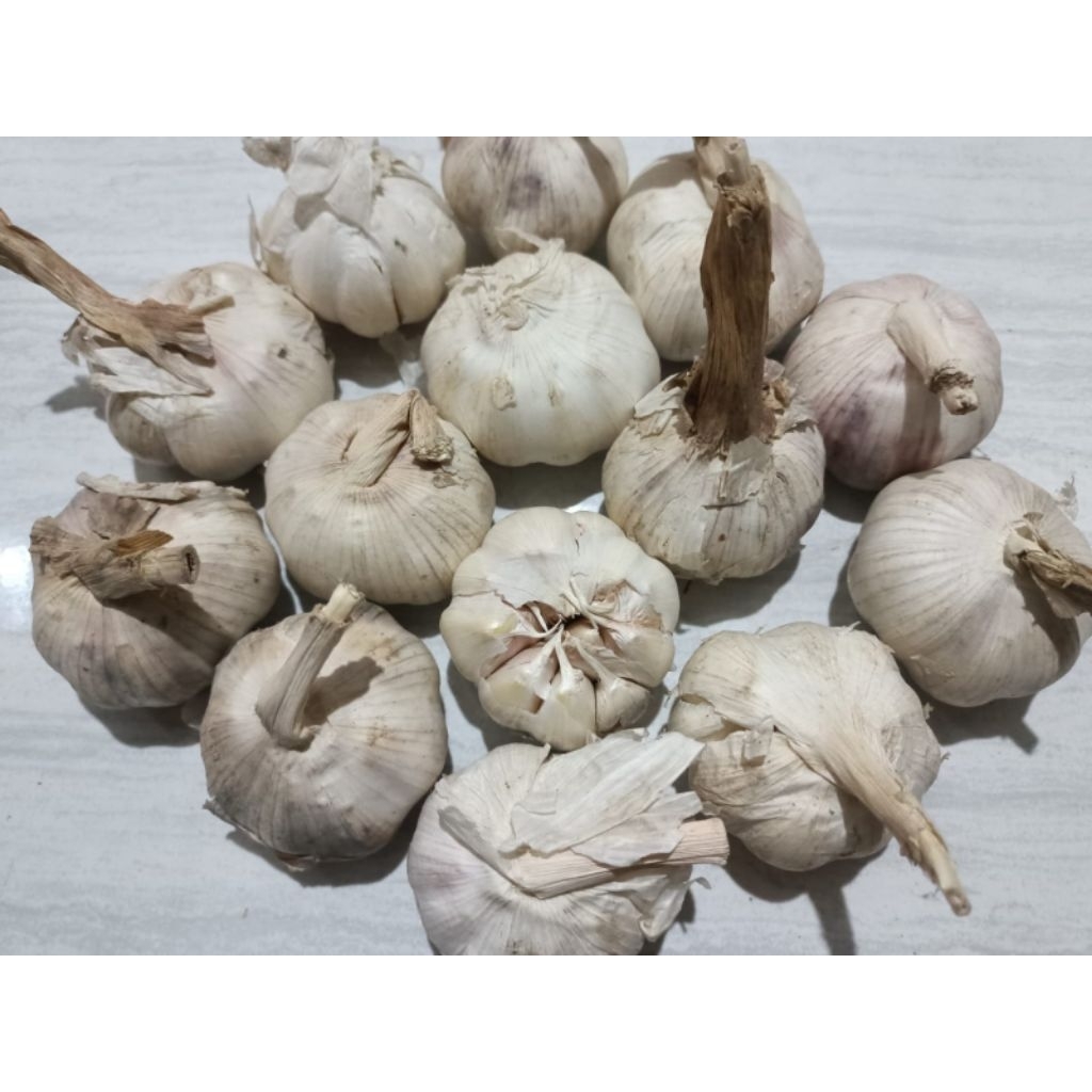 

Bawang putih 1Kg Harga Grosir ( kotor )