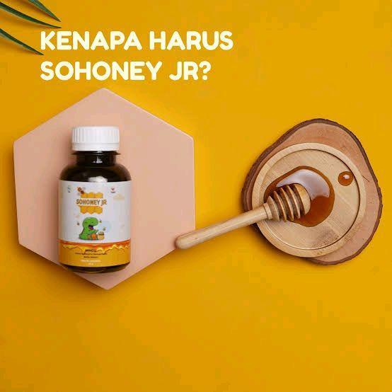 

Madu Sohoney Jr Multivitamin Membantu Meningkatkan Nafsu Makan Si Kecil