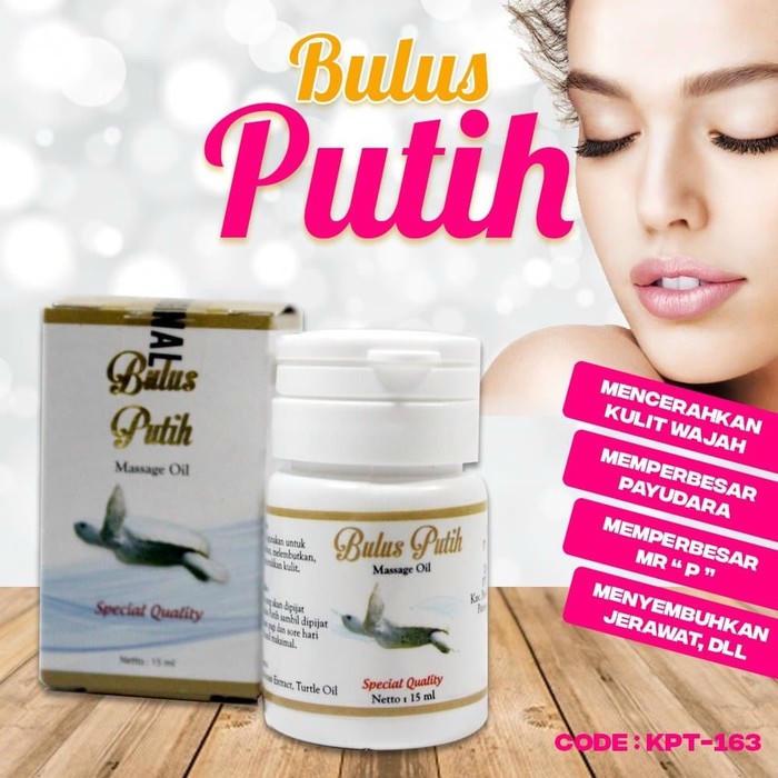 Minyak Bulus Penyu BPOM – Pembesar Payudara Alami & Pengencang Kulit Payudara pembesar payudara herb