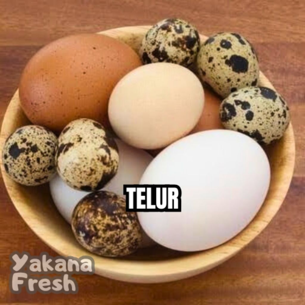 

Telur Per 1 Butir