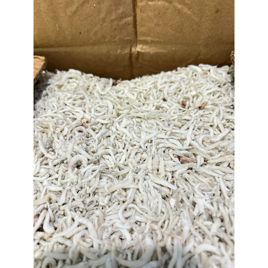 

IKAN ASIN TERI NASI / TERI MEDAN / NASI TERI SUPER / TERI NASI / TN 250GR, 500GR, 1KG