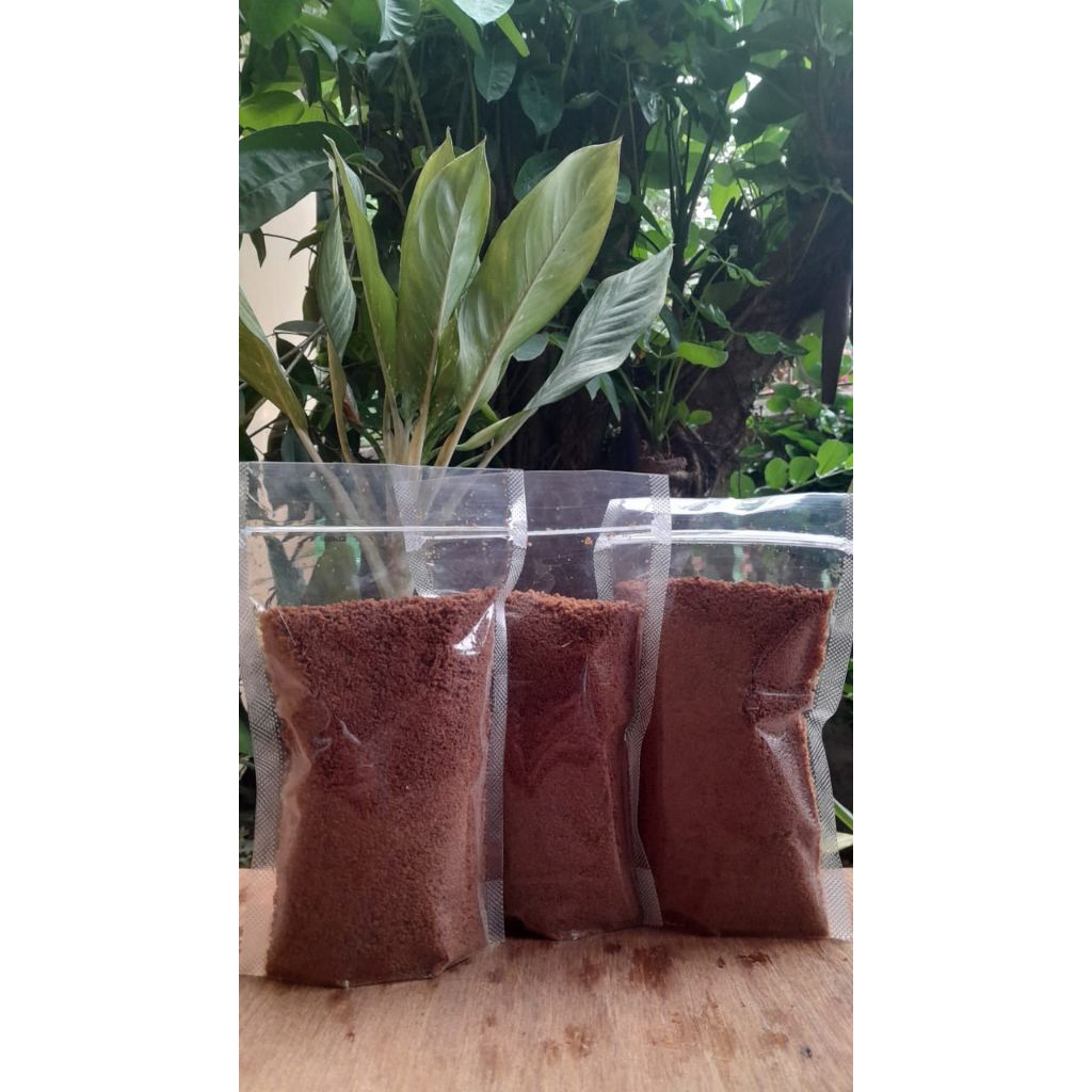

Gula aren semut