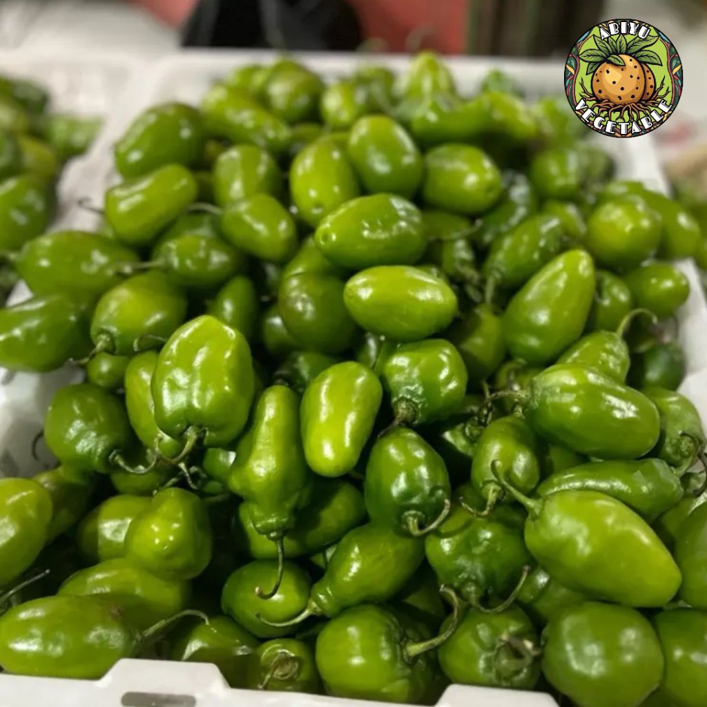 

TERLARIS Cabe gendot Viral 1kg