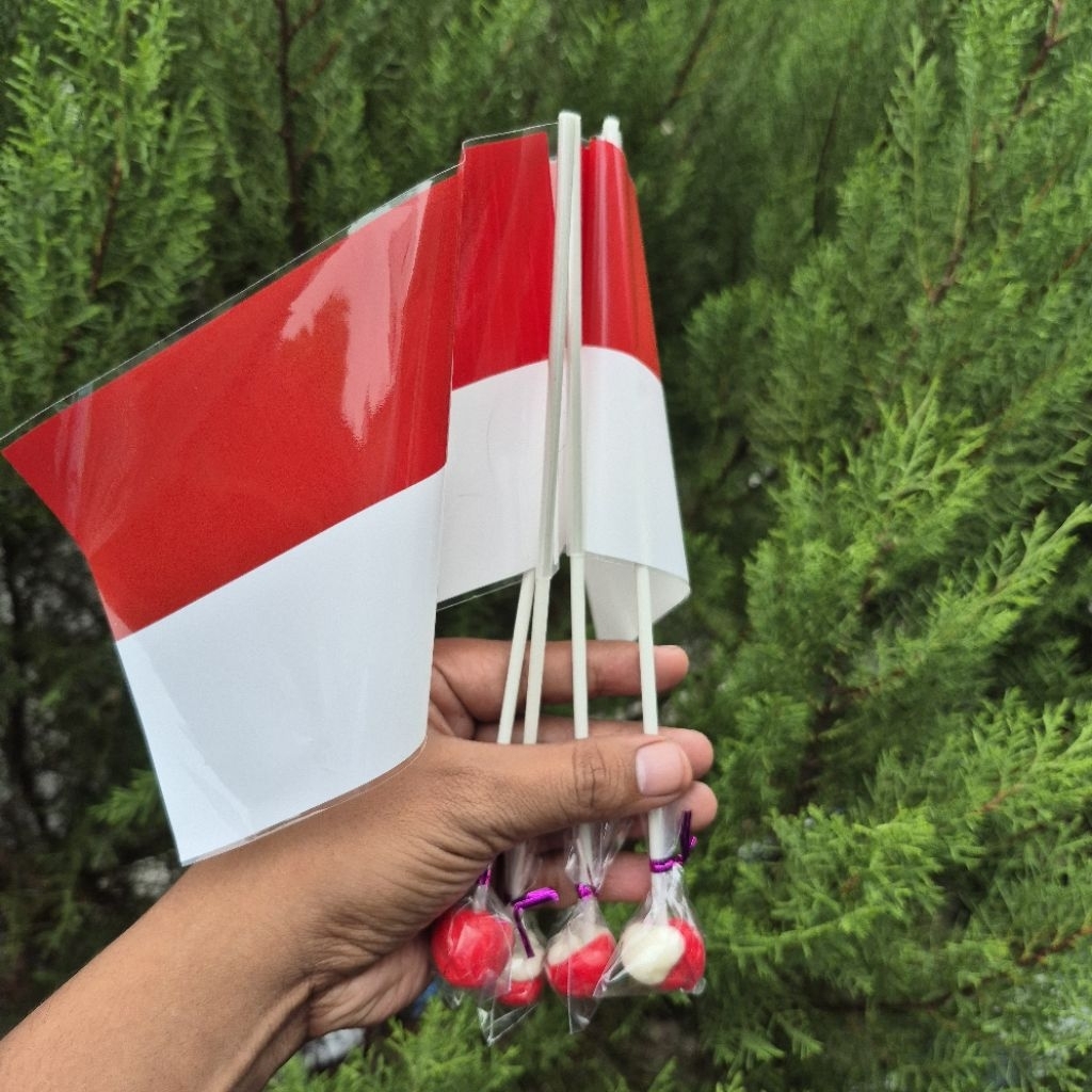 

PERMEN LOLIPOP HADIAH BENDERA ISI 20 PCS GROSIR GALAXY LOLIPOP