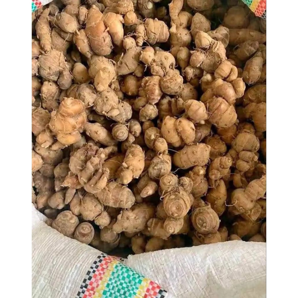 

50 kg kencur seblak organik