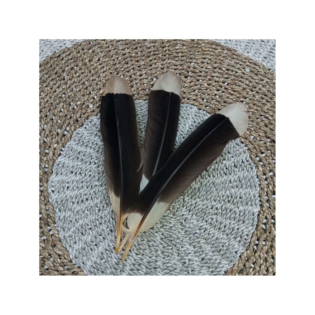 AKSESORIES BULU ENGGANG - BULU ENGGANG DAYAK - AKSESORIES BAJU ADAT DAYAK