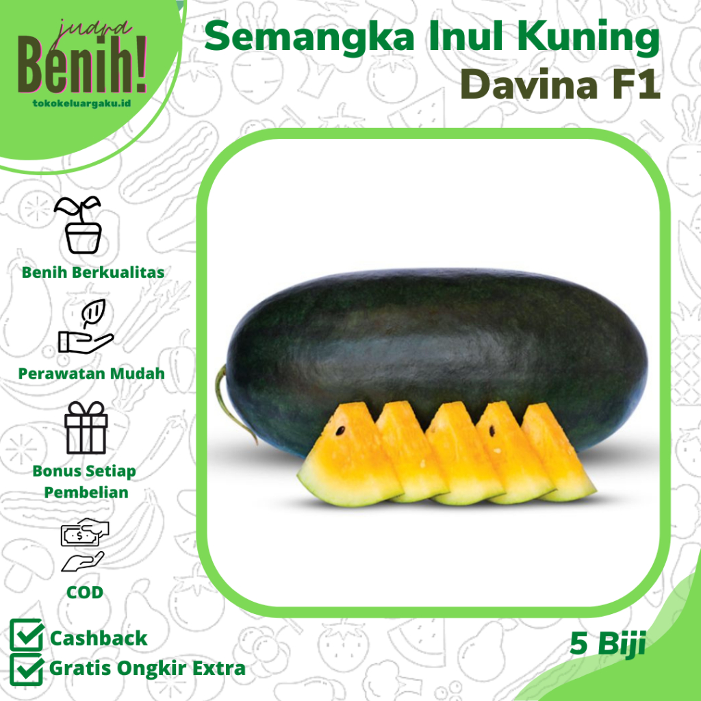 5 Biji Benih Semangka Inul Kuning DAVINA F1 - Bibit Buah Bibit Semangka Inul Unggul