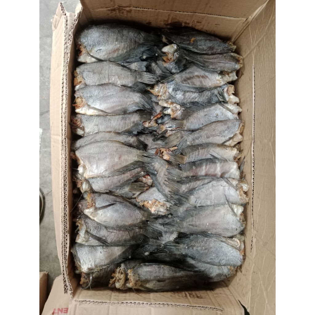 

iKan Asin Sepat Siam Kalimantan 1 Kg Fresh
