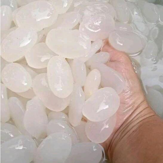 

Kolang Kaling Segar Untuk Manisan Berat 1 Kg