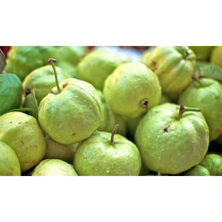 

Jambu kristal Tanpa Biji 1kg
