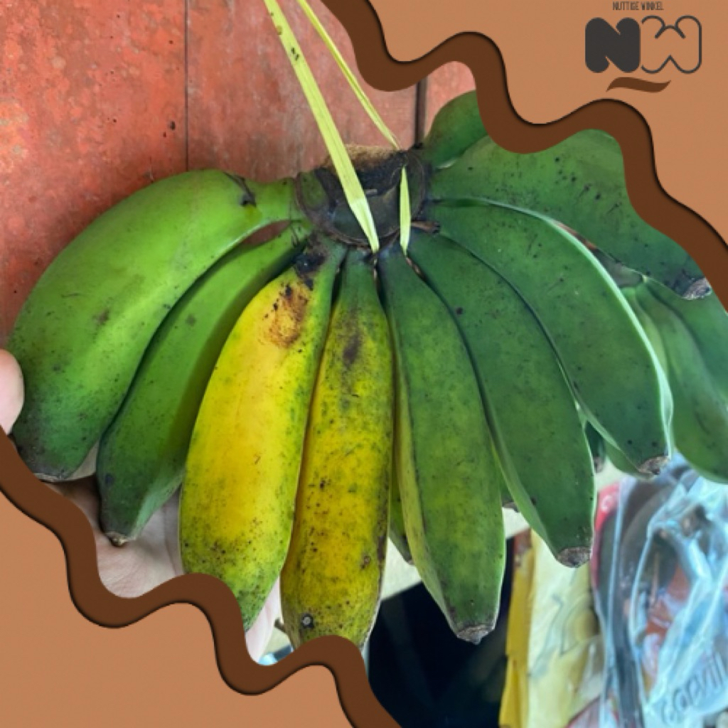 

Buah Pisang Nangka Mentah Besar, Manis, dan Harum Khas