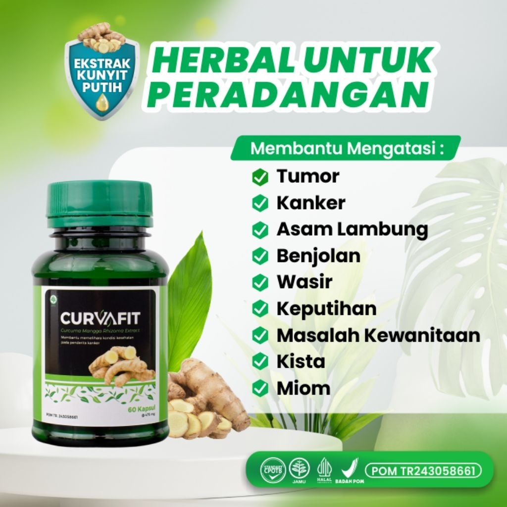 

EKSTRAK KUNYIT PUTIH CURVAFIT MAMPU MENGATASI BERBAGAI MACAM JENIS PENYAKIT