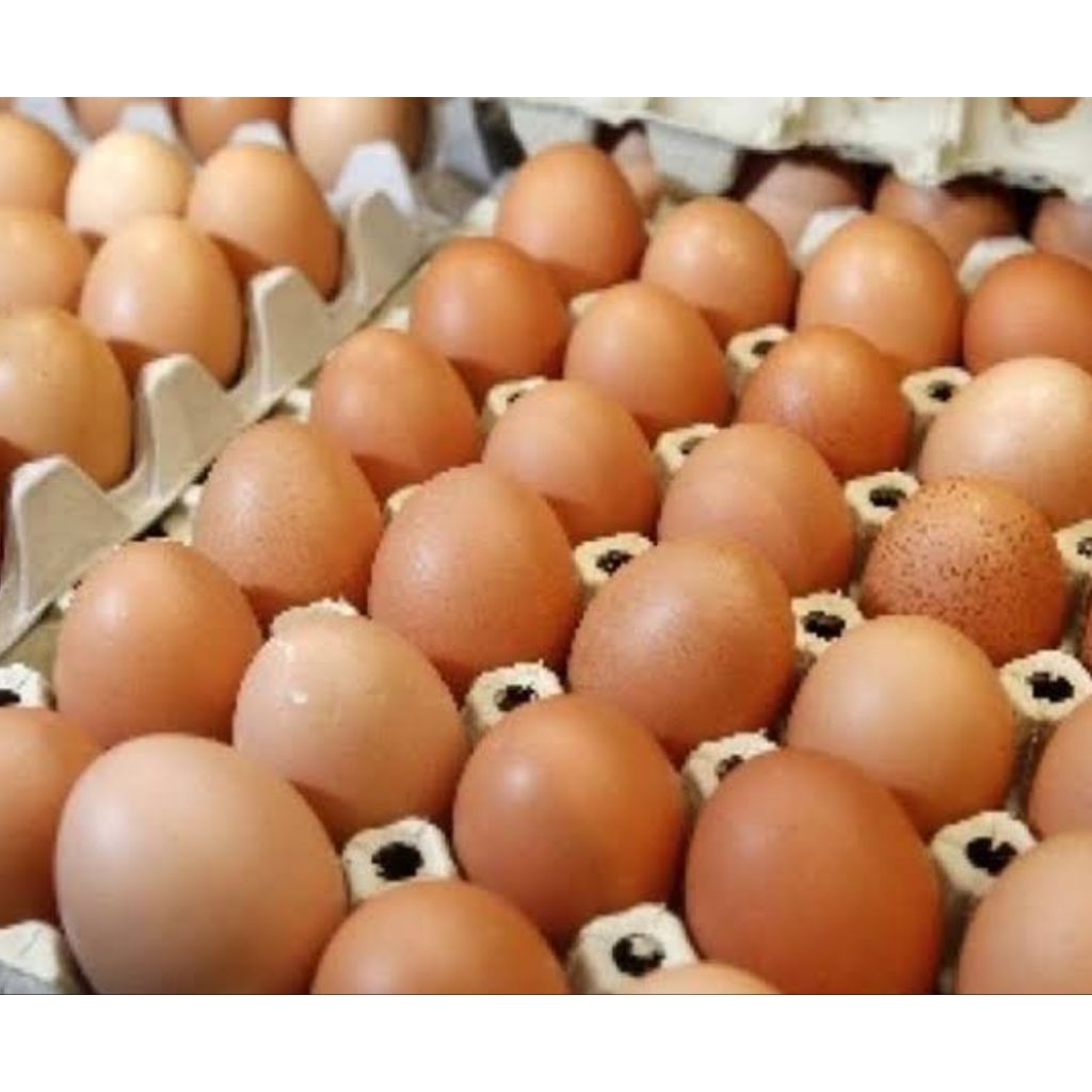 

Telur Ayam Negeri Segar 1 Kg – Kirim Cepat Area Jakarta Barat
