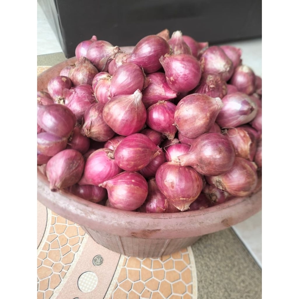 

500gr Bawang Merah Bima Fresh Ukuran Besar, Kecil, Sedang