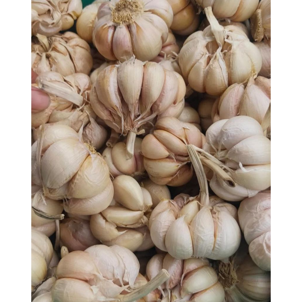 

Bawang putih lokal bersih 1kg