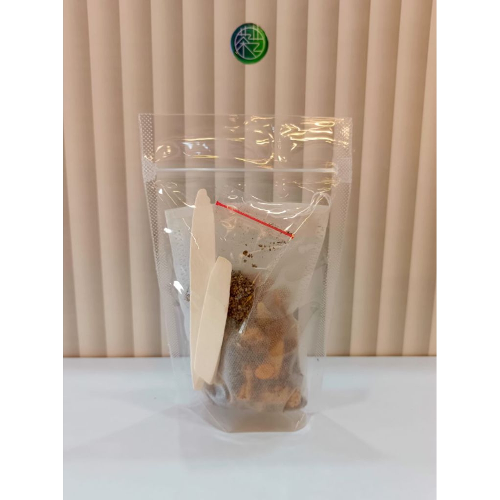 

Ramuan sop herbal Bakuteh/ Rou Gu Cha