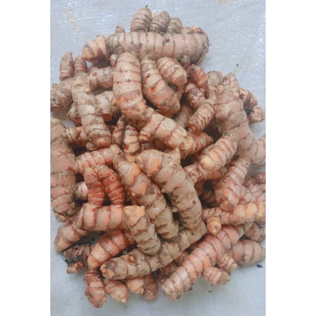 

KUNYIT BASAH PILIHAN 1kg