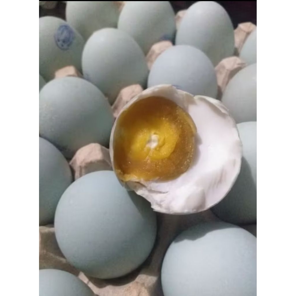

TELUR ASIN MATANG NIKMAT MASIR BERMINYAK HARGA GROSIR SIZE BESAR GRADE AB pembelian minimal 10 pcs