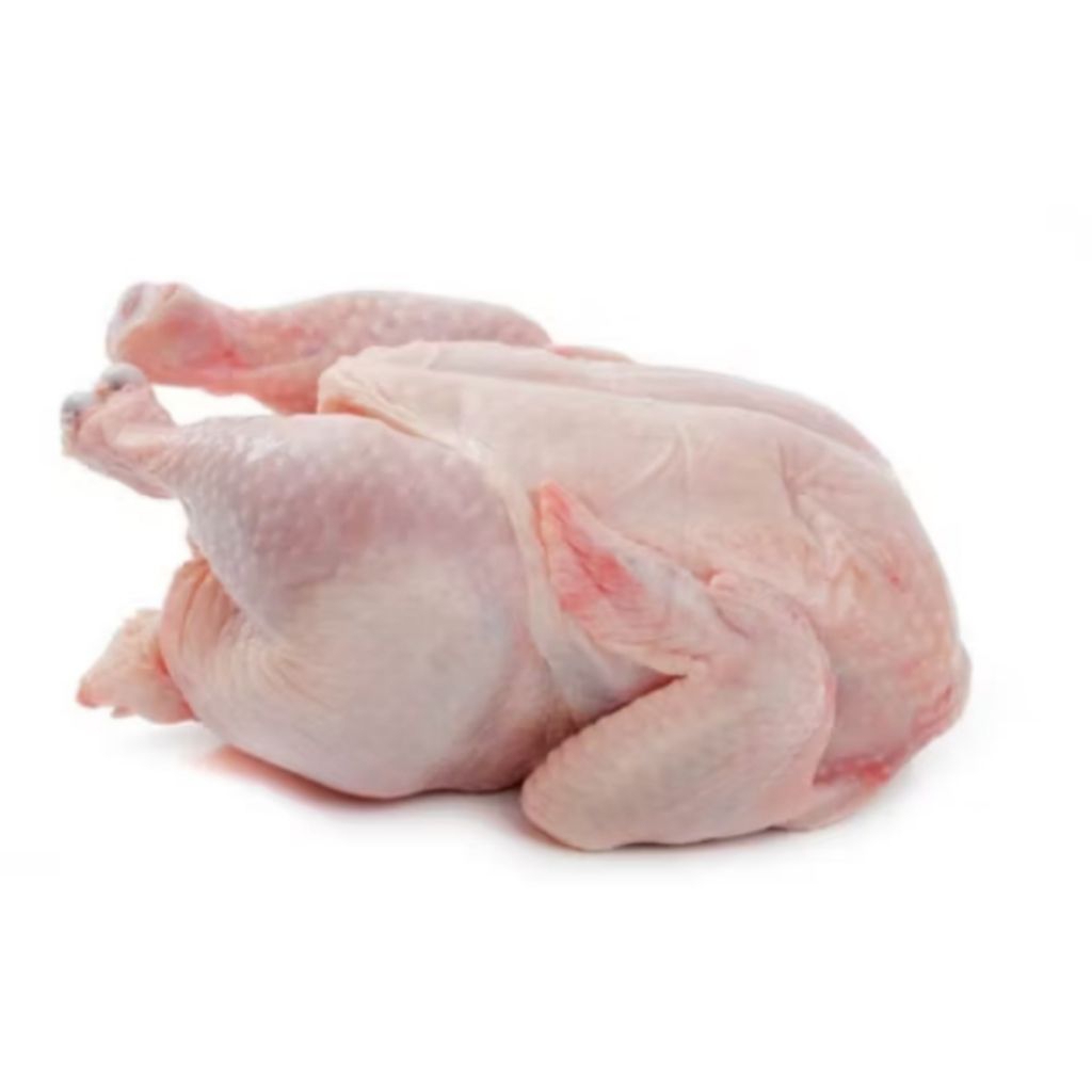 

Daging Ayam boiler / Ayam fresh /Daging ayam Halal