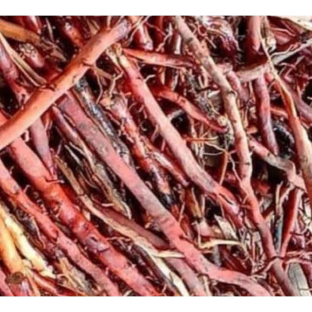 

akar kelapa 1kg sudah bersih siap order