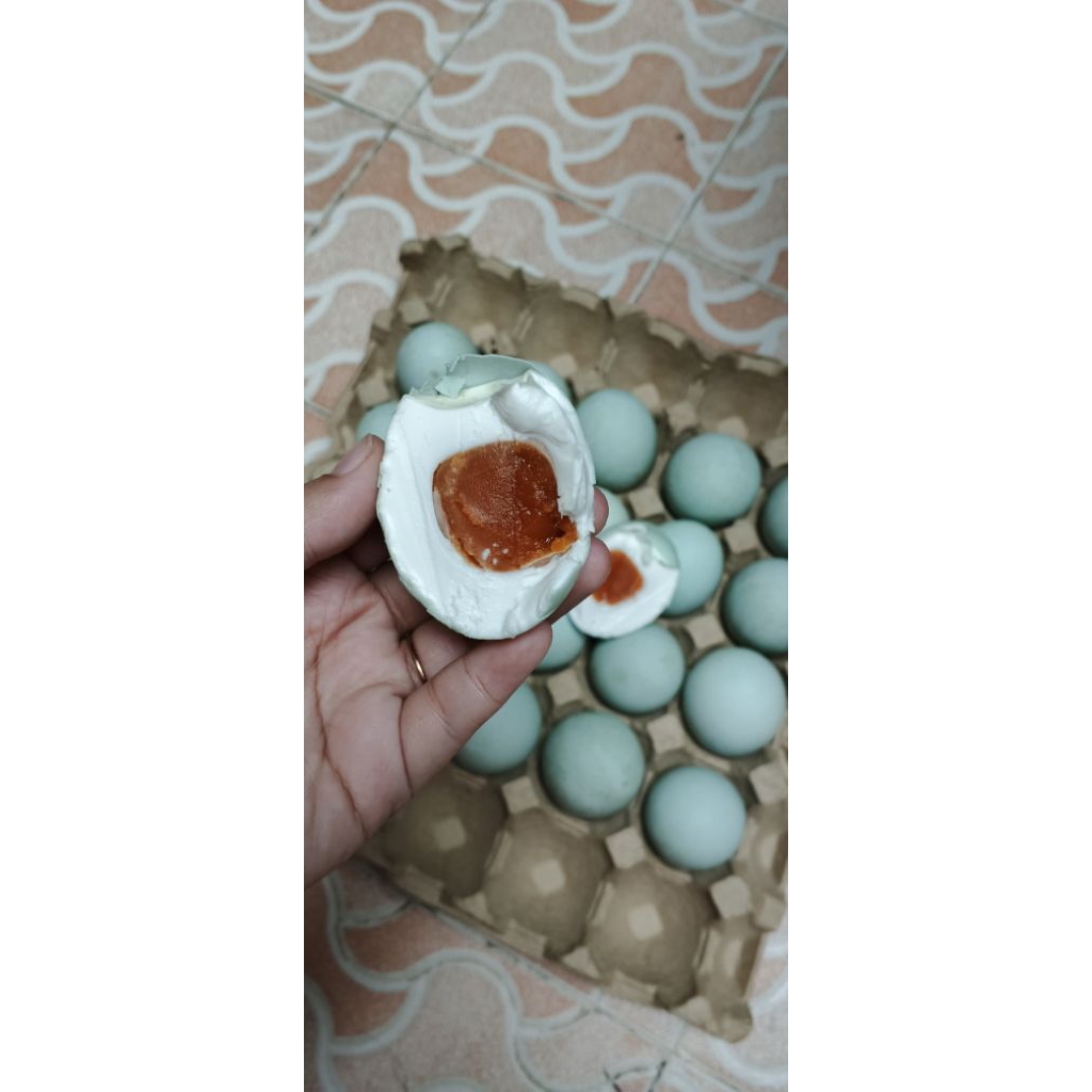 

telur asin matang masir isi 10 butir