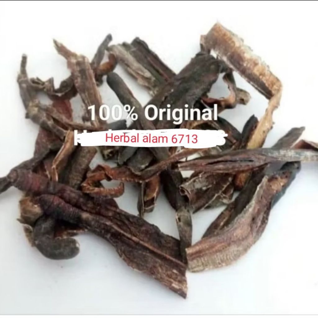 Cacing tanah kering premium 300 gr