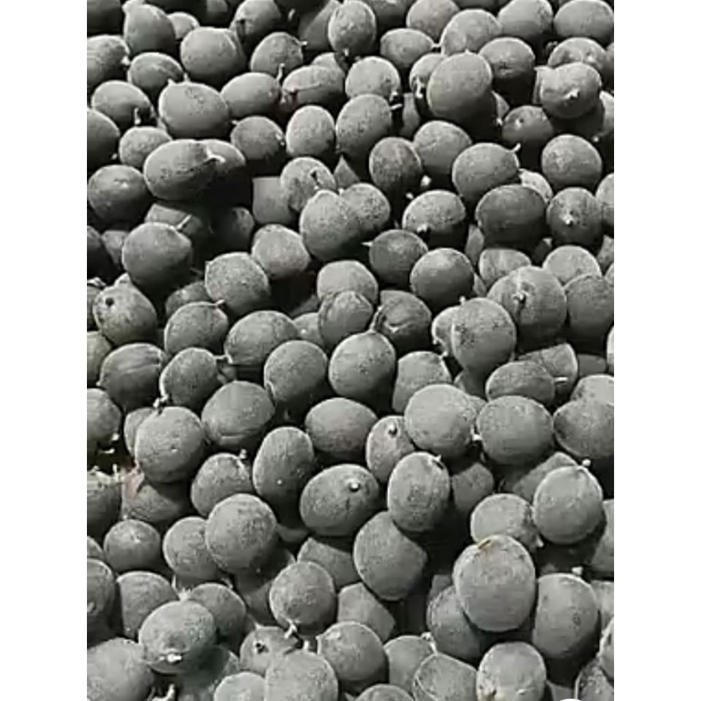 

buah keranji